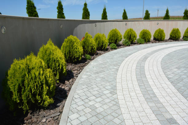 Best Local Driveway Pavers  in Homeland, CA